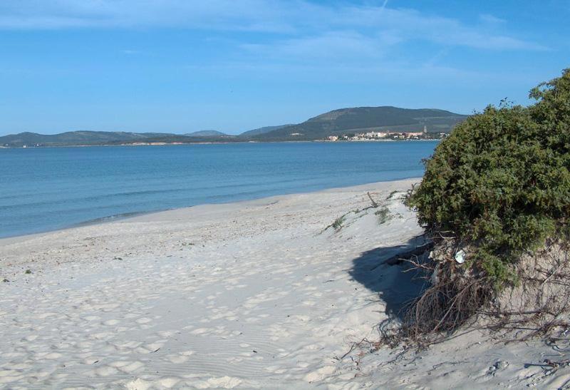 Appartamento A Pochi Passi Dalla Spiaggia Alghero Bagian luar foto