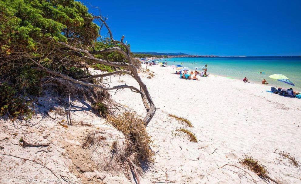 Appartamento A Pochi Passi Dalla Spiaggia Alghero Bagian luar foto